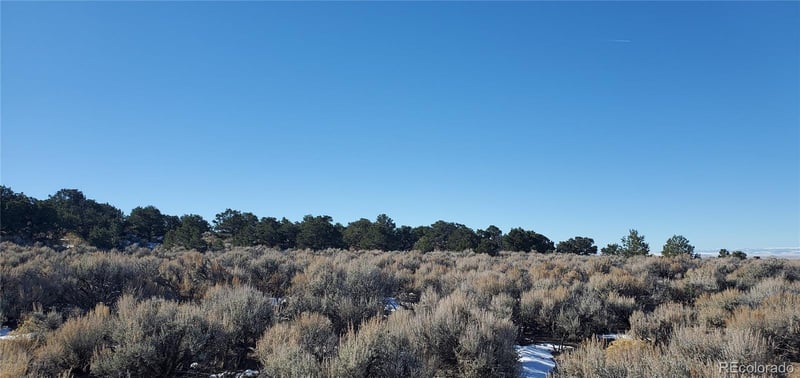 2600 Bildy Rd, Fort Garland, CO 81133