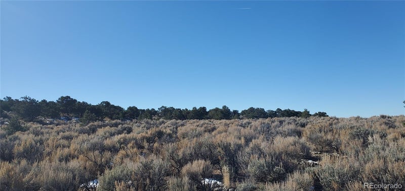 2600 Bildy Rd Lot 2600, Fort Garland, CO 81133