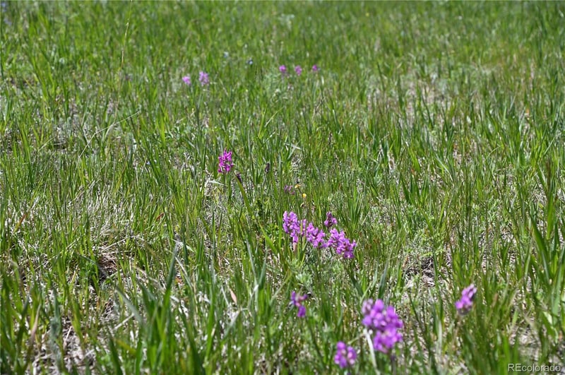 30523 Mountain View Trl Lot 0006, Kiowa, CO 80117