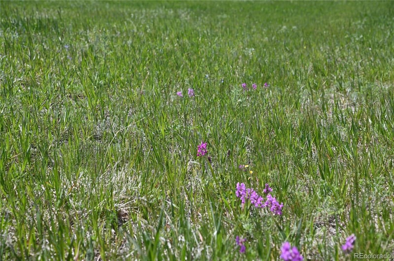 30523 Mountain View Trl Lot 0006, Kiowa, CO 80117