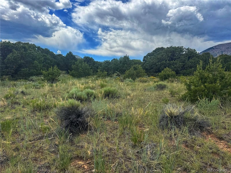 106 Colorado Land & Grazing, Walsenburg, CO 81089