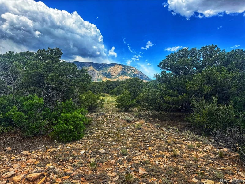106 Colorado Land & Grazing, Walsenburg, CO 81089