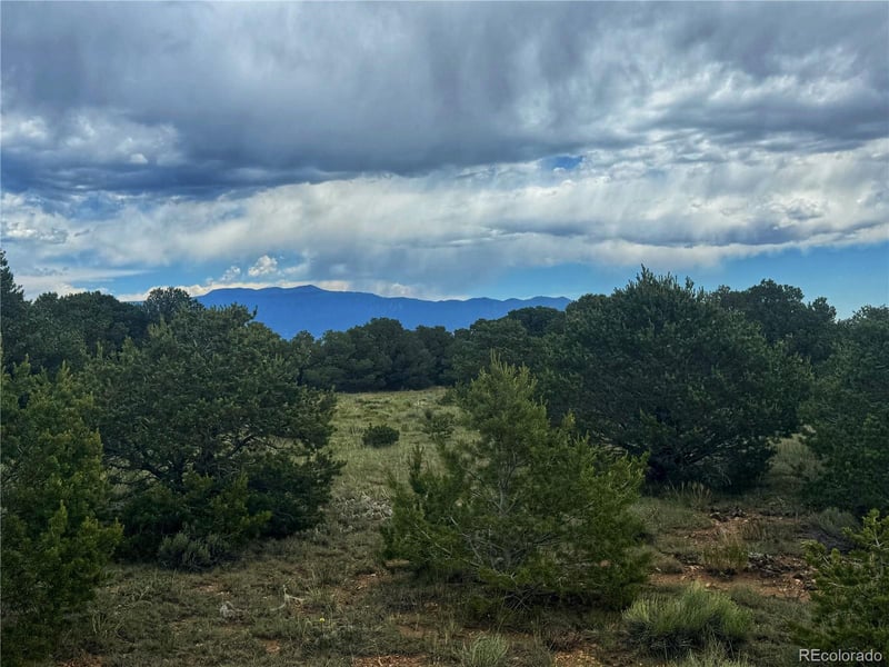 106 Colorado Land & Grazing, Walsenburg, CO 81089