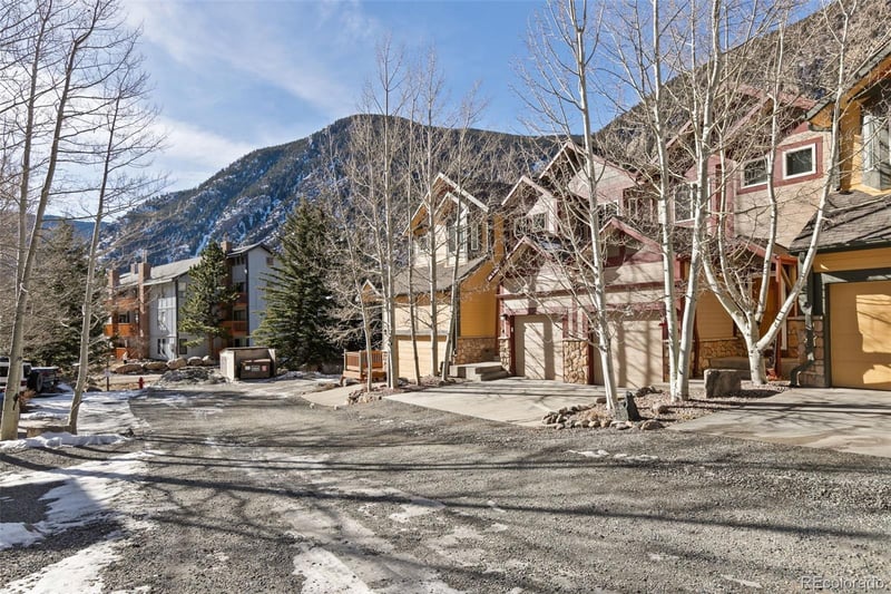 2120 Major Anderson Dr #2120, Georgetown, CO 80444