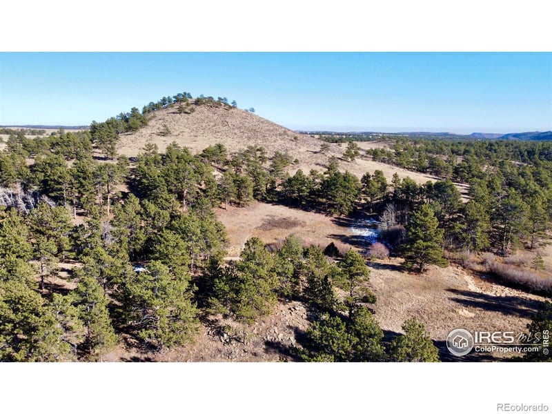 Walno Ave, Livermore, CO 80536