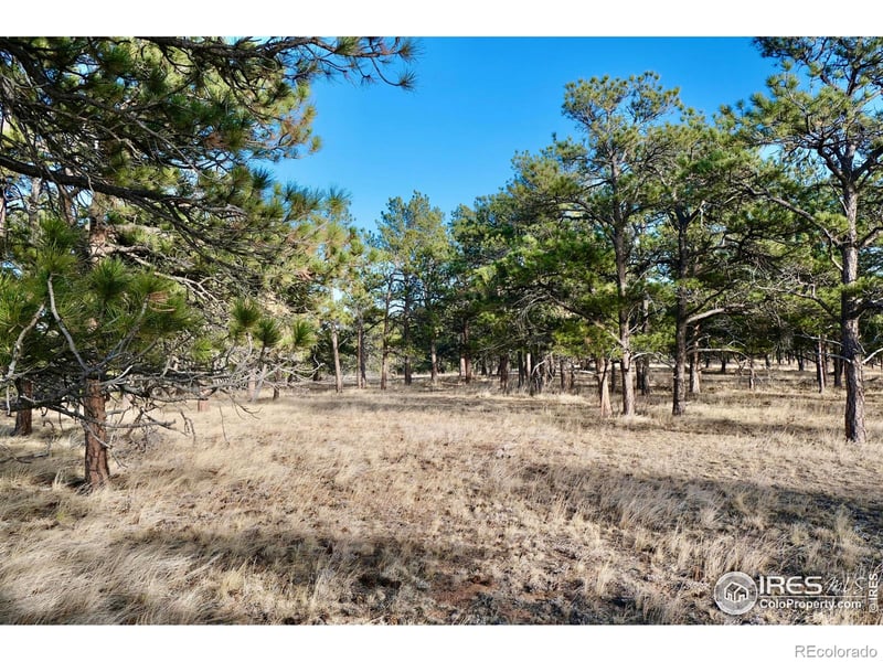 Walno Ave, Livermore, CO 80536