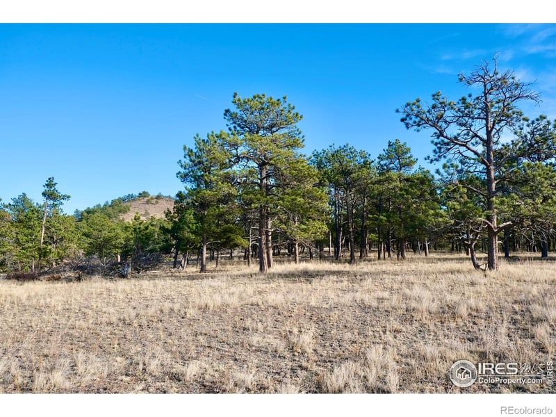 Walno Ave, Livermore, CO 80536