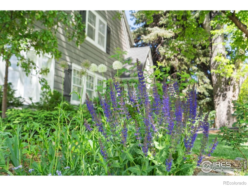 1130 W Oak St, Fort Collins, CO 80521
