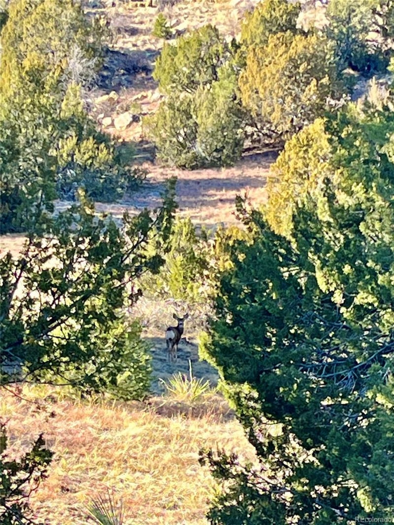 2382 Newton Rd, Pueblo, CO 81005