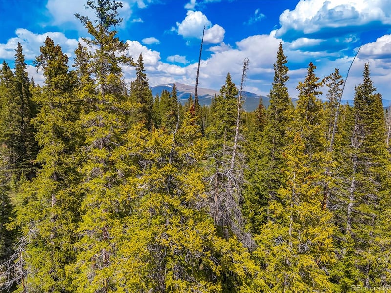 632 El Lobo Ln Lot 696, Fairplay, CO 80440