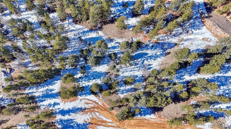 79 Huntsman Cir, Florissant, CO 80816