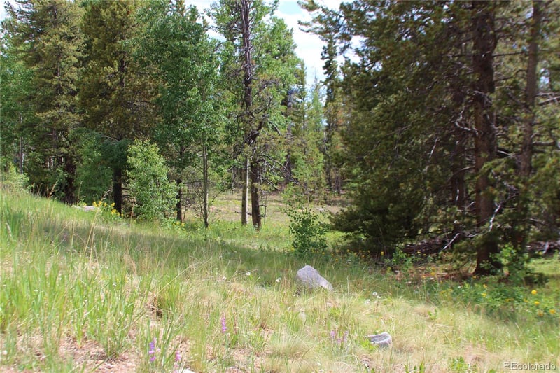 Glacier Ridge Rd, Alma, CO 80420