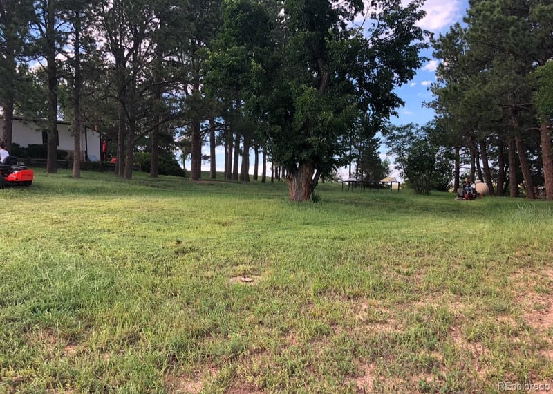 6597 S State Highway 83, Franktown, CO 80116