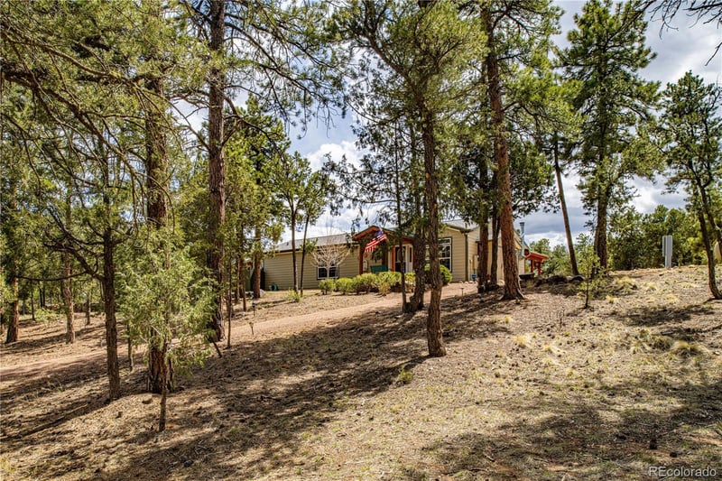178 Kirk Dr, Cotopaxi, CO 81223