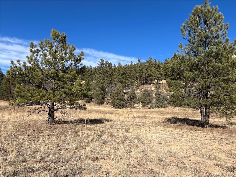San Pablo Canyon Lot 6, Weston, CO 81091