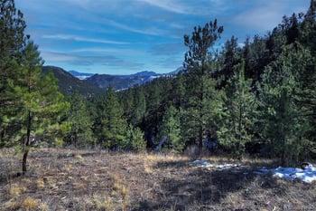 6 Turret Peak Trl, Pine, CO 80470