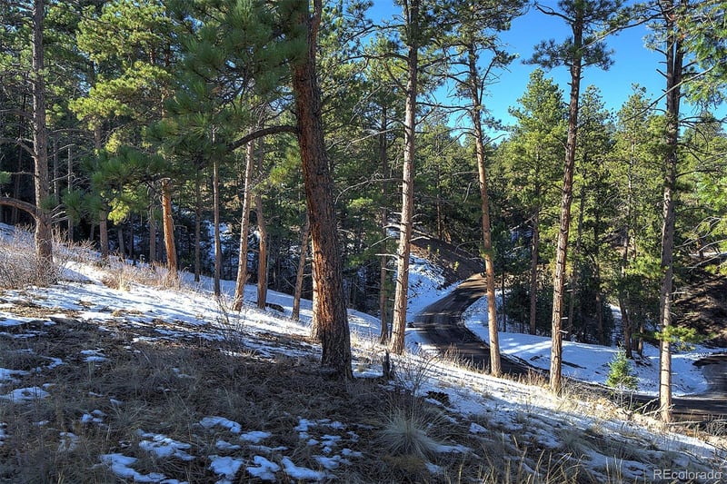 6 Turret Peak Trl, Pine, CO 80470