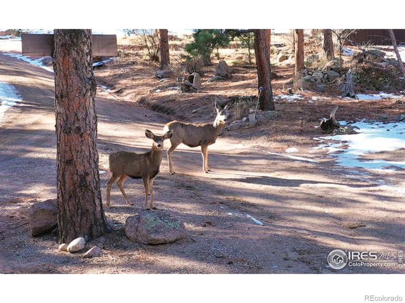 0 Pima Rd #TBD, Lyons, CO 80540