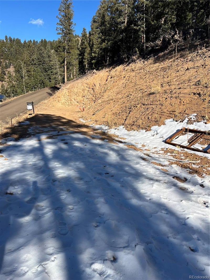 7251.1 Timber Trail Rd, Evergreen, CO 80439