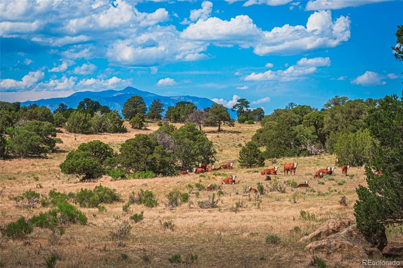 County Rd 521, Walsenburg, CO 81089