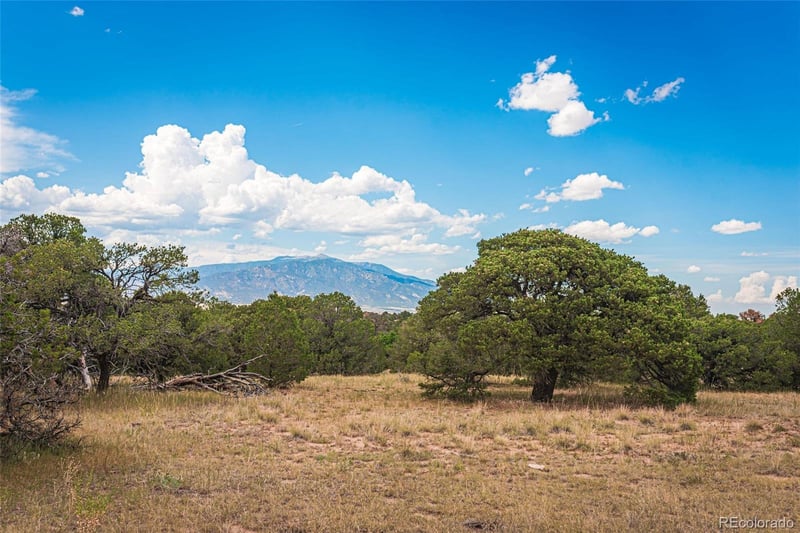 County Rd 521, Walsenburg, CO 81089