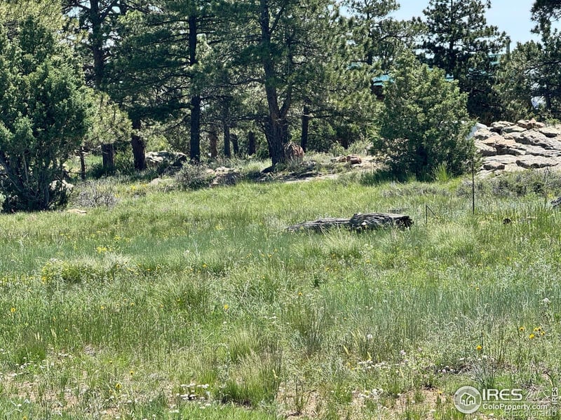 62 White Slide Mountain Ct, Livermore, CO 80536