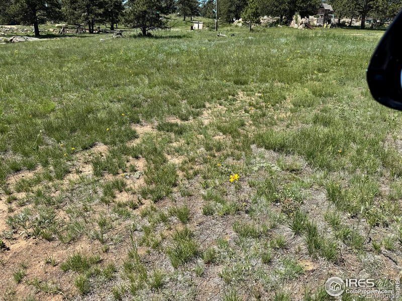 62 White Slide Mountain Ct, Livermore, CO 80536