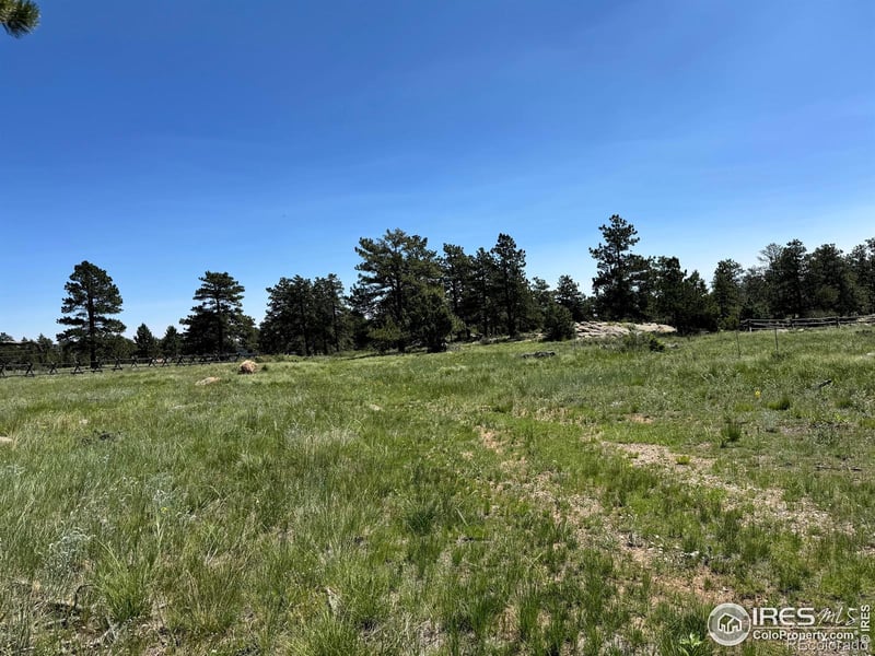 62 White Slide Mountain Ct, Livermore, CO 80536
