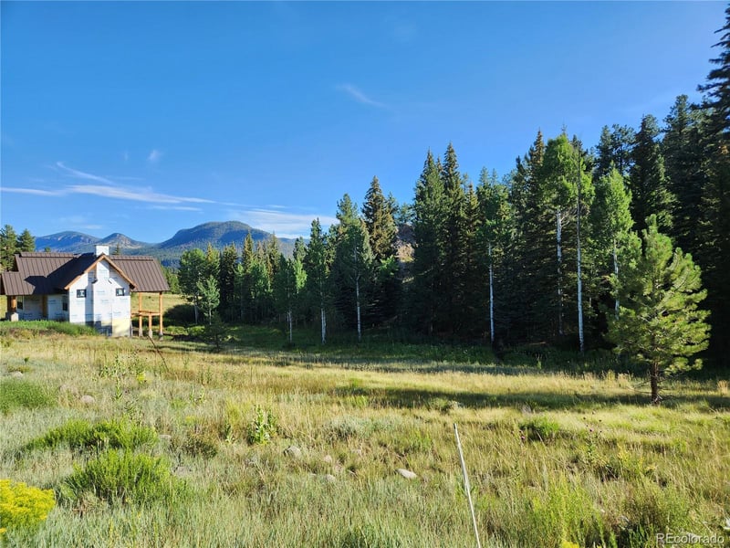 274 Church Creek, South Fork, CO 81154