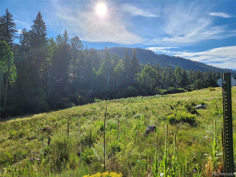 274 Church Creek, South Fork, CO 81154