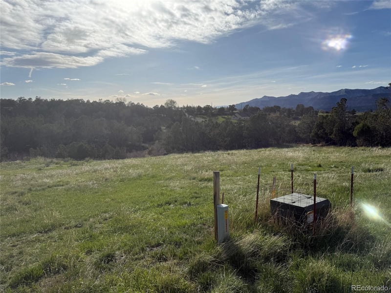 14495 Scott Loop, Collbran, CO 81624