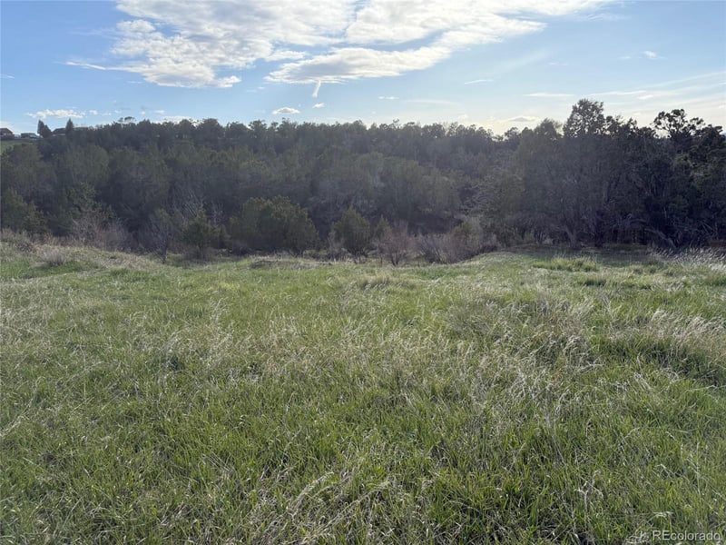 14495 Scott Loop, Collbran, CO 81624