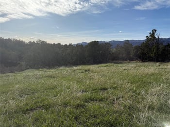 14495 Scott Loop, Collbran, CO 81624