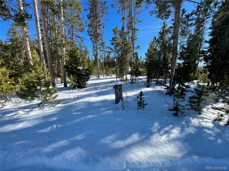 1038 County Road 49 Lot 18, Grand Lake, CO 80447