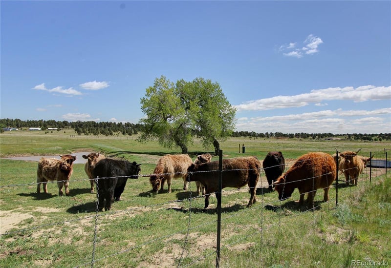 18050 Wedemeyer Rd, Kiowa, CO 80117