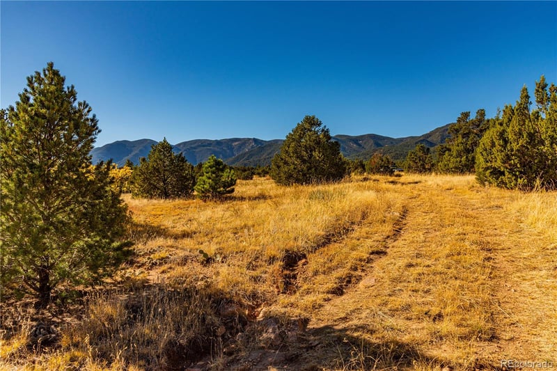 3335 County Road 103, Florence, CO 81226