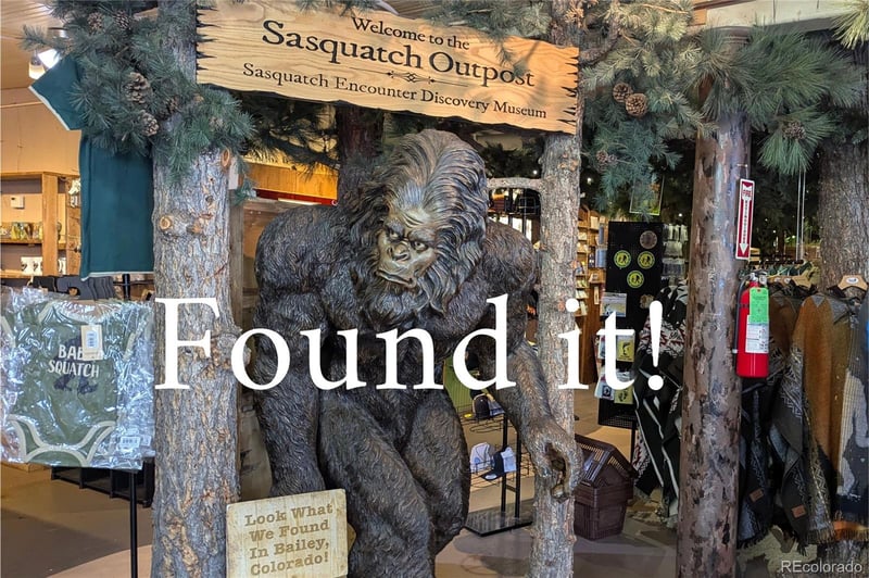 4501 County Road 72, Bailey, CO 80421