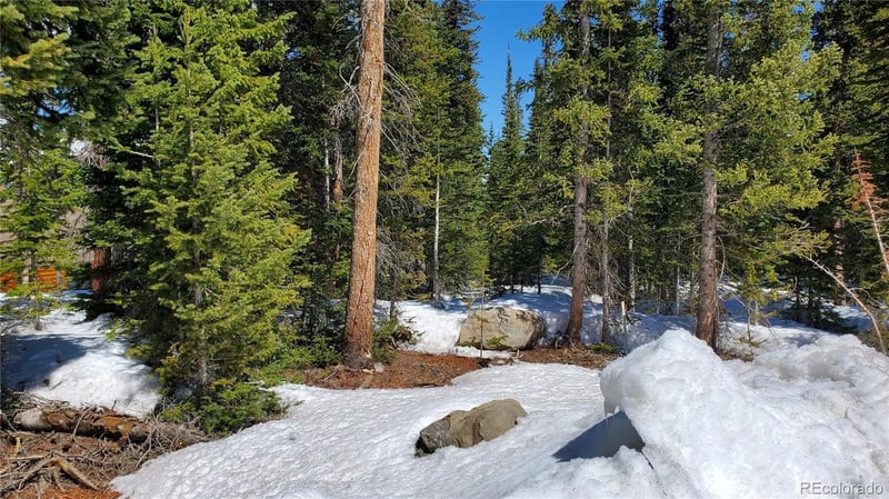 107 Hamilton Ln, Breckenridge, CO 80424