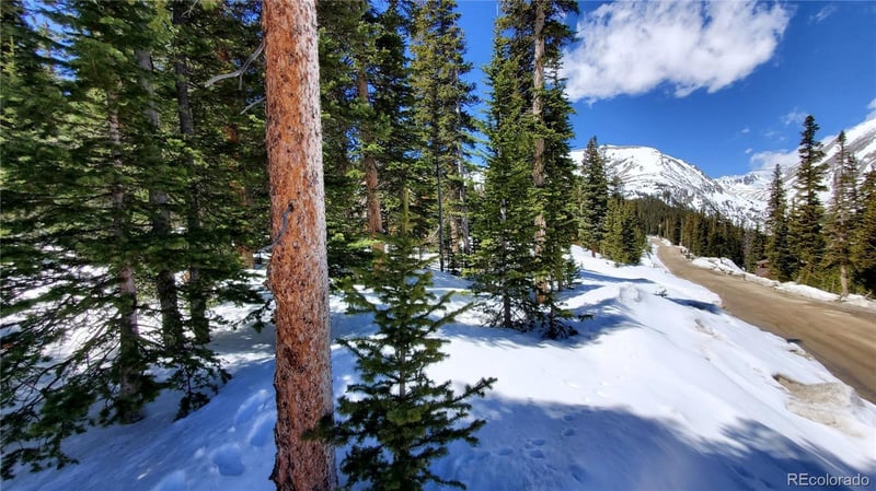 107 Hamilton Ln, Breckenridge, CO 80424