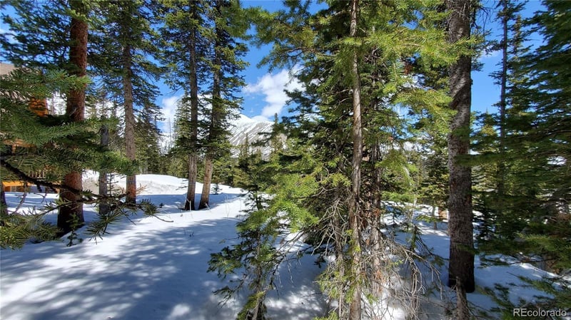 107 Hamilton Ln, Breckenridge, CO 80424
