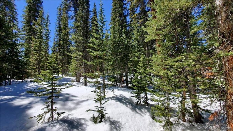 107 Hamilton Ln, Breckenridge, CO 80424
