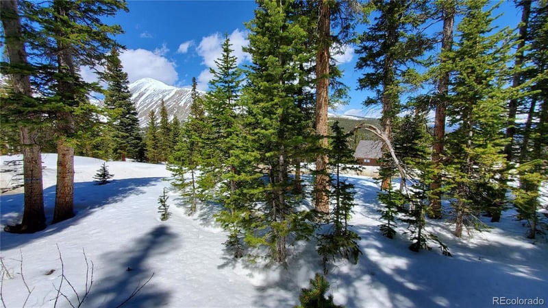 107 Hamilton Ln, Breckenridge, CO 80424