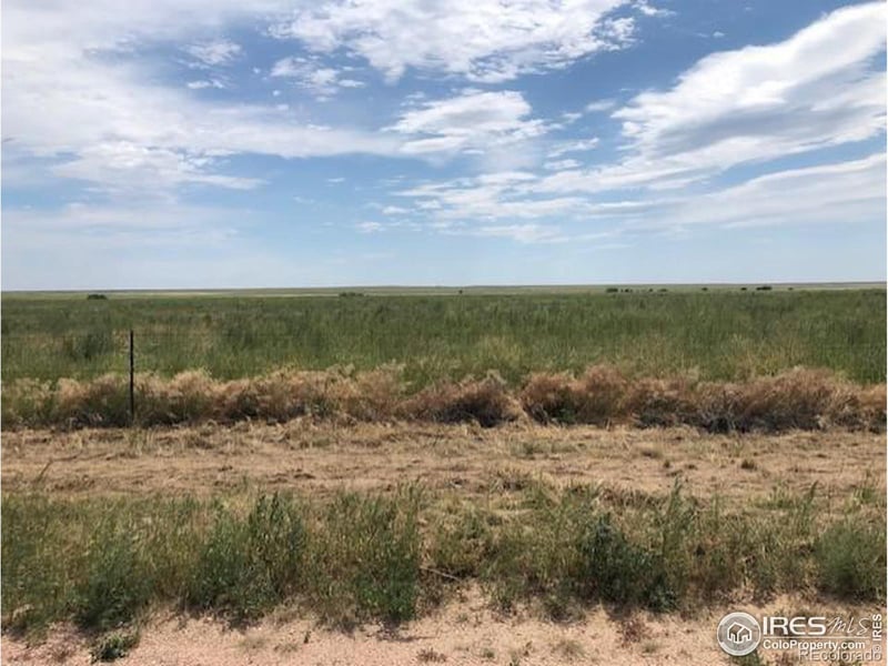 Lot I County Road 43 And 96, Pierce, CO 80650