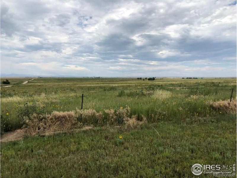 Lot H County Road 43 And 96, Pierce, CO 80650