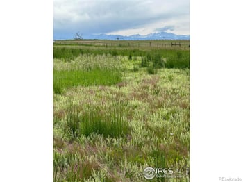 1777 156th Ave, Broomfield, CO 80023