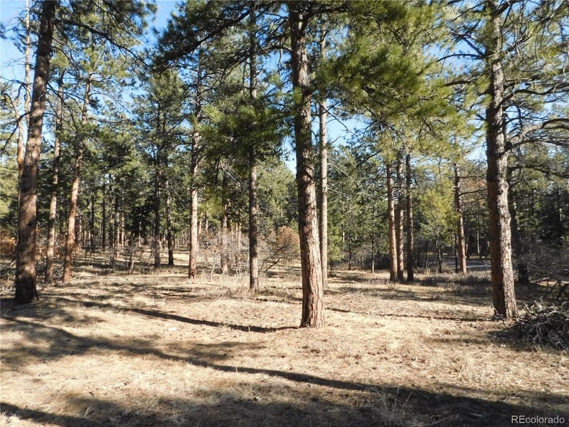 5875 S Pike Dr, Larkspur, CO 80118