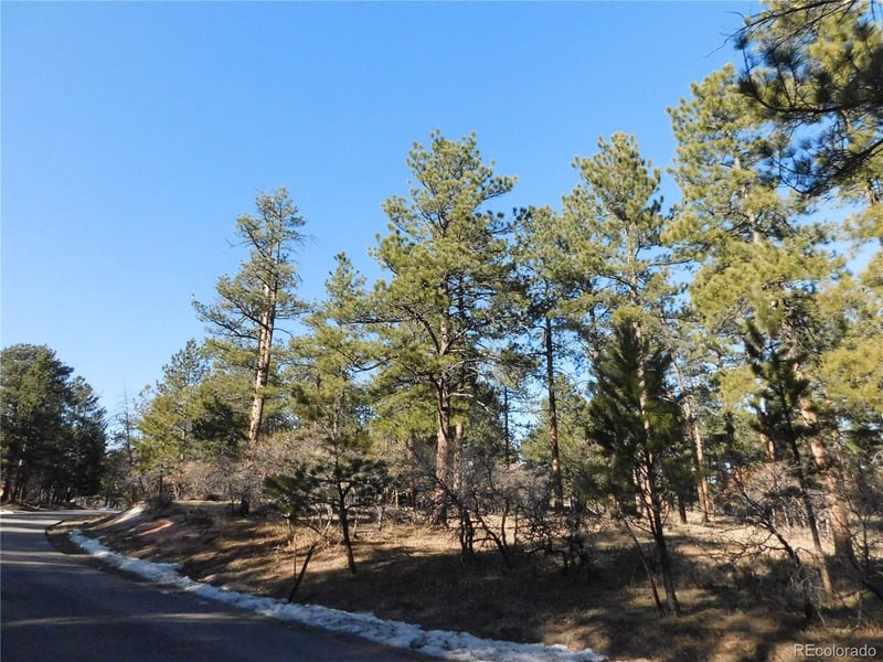 5875 S Pike Dr, Larkspur, CO 80118