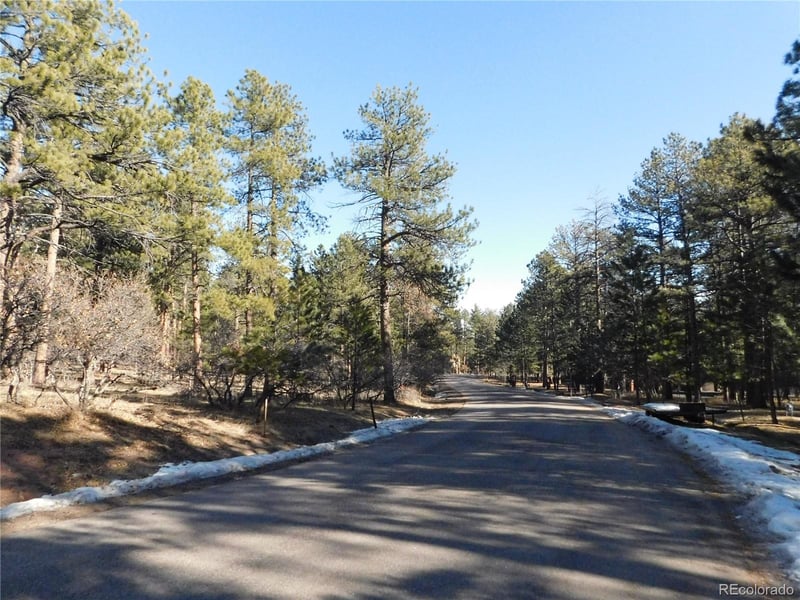5875 S Pike Dr, Larkspur, CO 80118