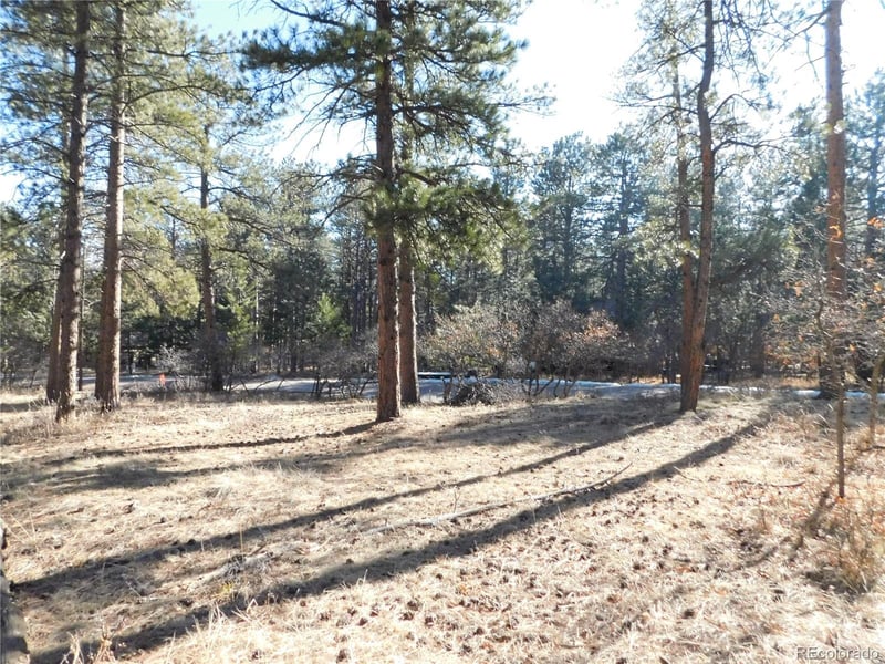 5875 S Pike Dr, Larkspur, CO 80118