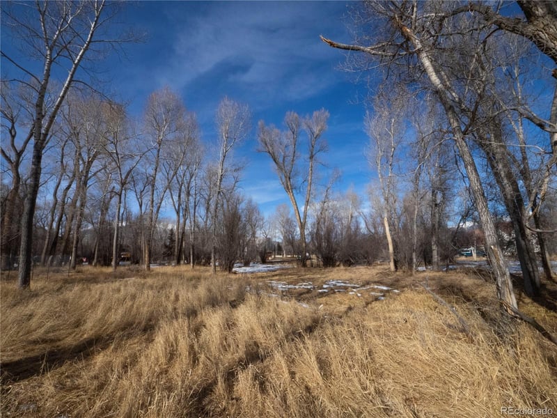 Tee Rd, Buena Vista, CO 81211